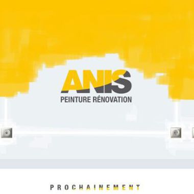 Anis Peinture Rénovation