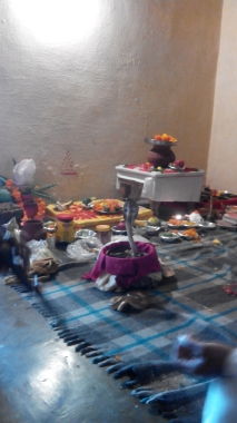 Saamuhik Kaal Sarp dosh Pooja