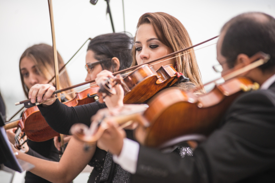 Quarteto de Cordas