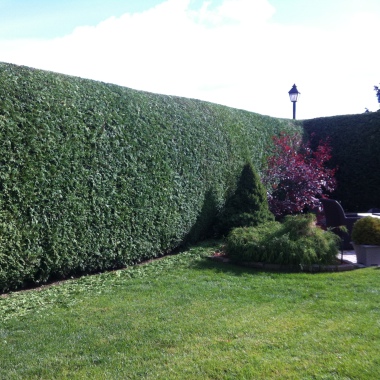 Rech&Fils Jardin