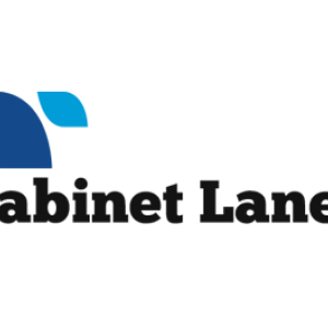 Laney Consulting