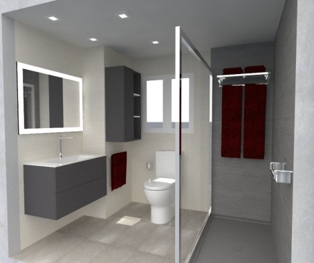 Renovación de Baño 