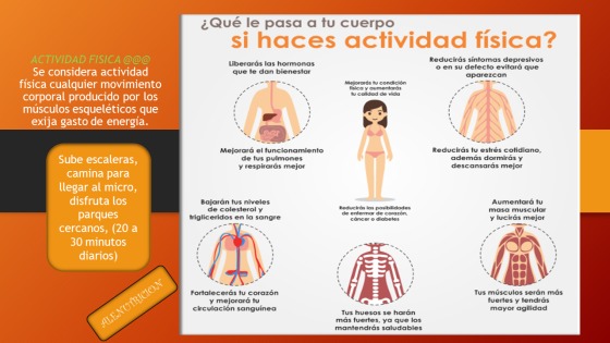 ACTIVIDAD FISICA