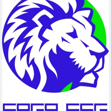 Saga Seg