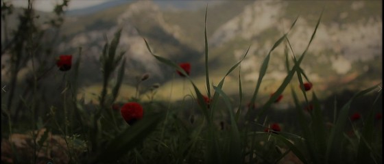 Doğa