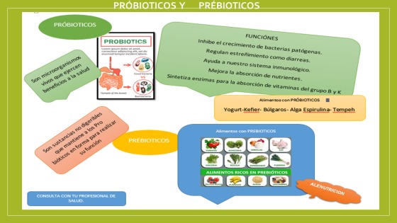 PROBIOTICOS