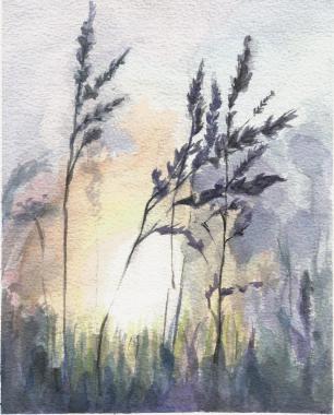 Pinturas