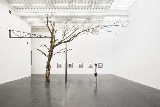 New Museum, New York city, photo d'exposition.2012