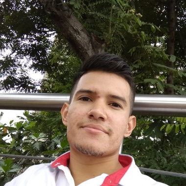 Ingesiul