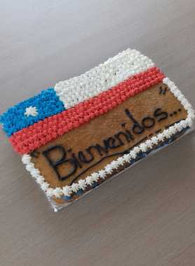 Cake de Vainilla rellena de Manjar y Crema Chantilly con un almíbar de Pisco y decoración de Bandera Chilena