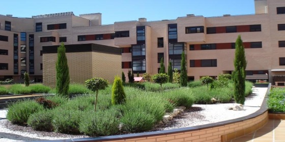 jardineria buenavista