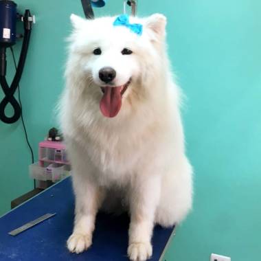 Cloud