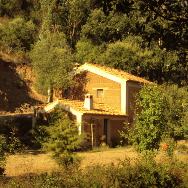 Graça Jalles