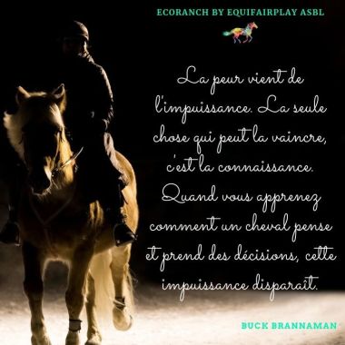4Goodhorse (R) - Ecoranch By Equifairplay Asbl