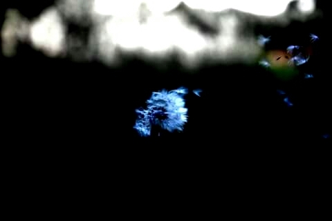 Soffio di Speranza ( International Reportage)
