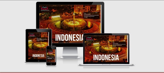 Company Profile Star Group