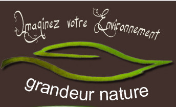 Grandeur Nature