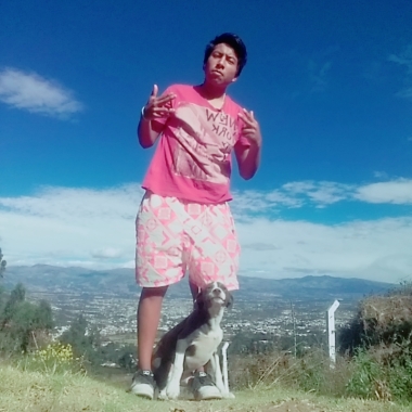 Paseo Perros