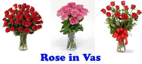 Andri Florist