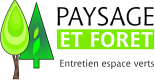 Paysage Et Forêt