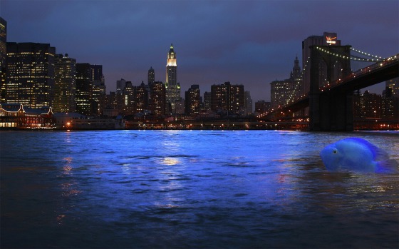 photo New York, brooklyn bridge, création perso, voir degendre.com,