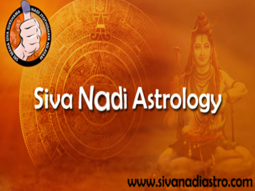 Nadi Astrology in Hyderabad.jpg