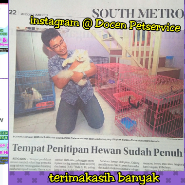 Docen Petservice - Praktek Dokter Hewan - Grooming - Penitipan