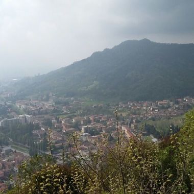 Studio Legale Aramini