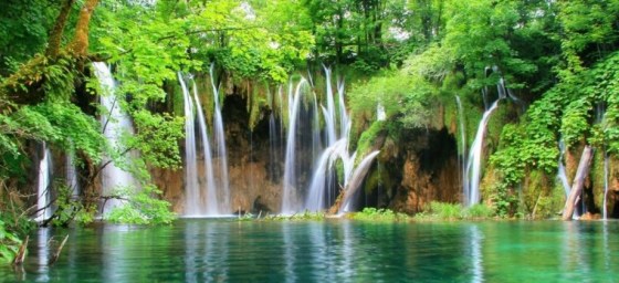 Perkumpulan Fotografer Pasuruan