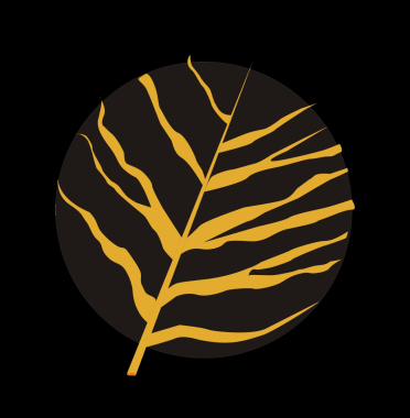 Kayonmas Studio 