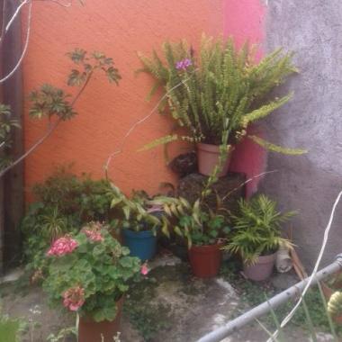 Construcciones "Peñaloza"