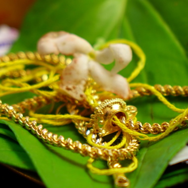 Kannankutty