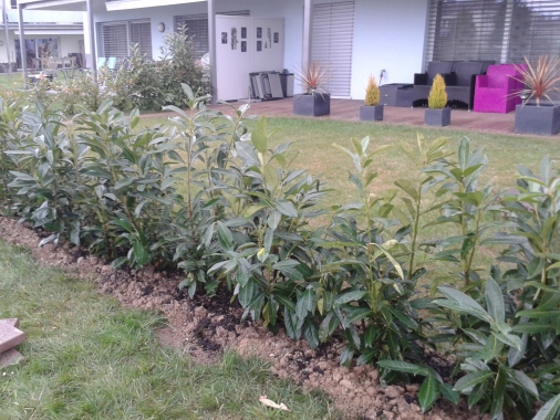 Plantations