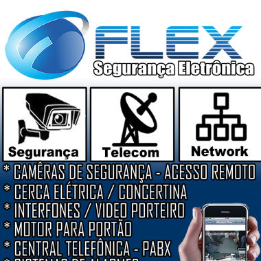 Flex Segurança Eletronica E Informática