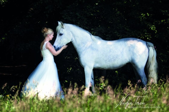 Afterwedding Fotoshooting Pferd