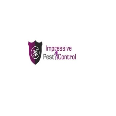 Commercial Pest Control Brisbane