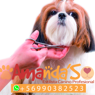 Amanda'S