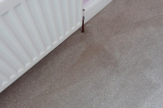 Bedroom Carpet Cleaning