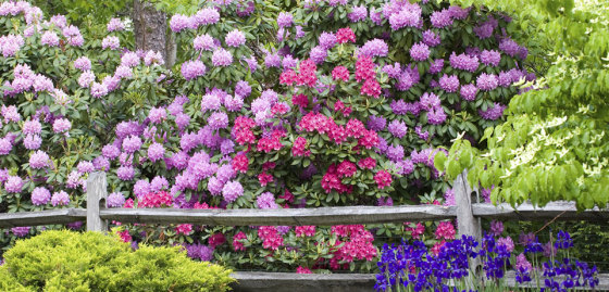 Mattera Jardin
