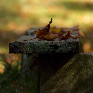 A resting spot 