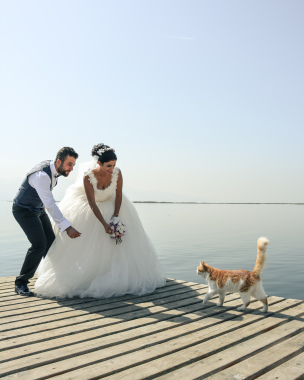 WEDDING FH