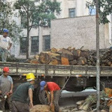 PERFORMANCE   AMBIENTAL 
corte e podas de arvores jardinagem e paisagismos somos uma empresa especializada orçamento sem compromisso www.performaceambiental.com.br