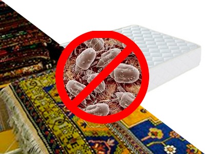 Eliminamos Acaros de colchones y alfombras