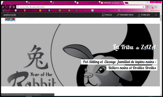 le site: la-tribu-de-zaza.fr