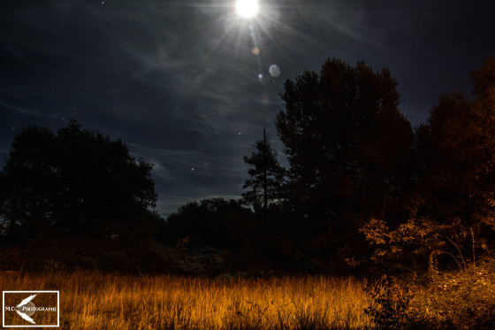 Paysage ( Journée, nuit )