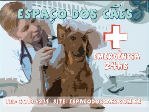 (12) 3953.9843 - (12) 997773781