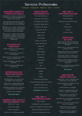 Servicios Profesionales