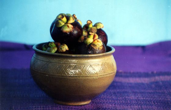 nature morte