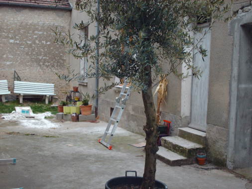 cour patio avant