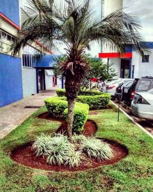 jardinagem